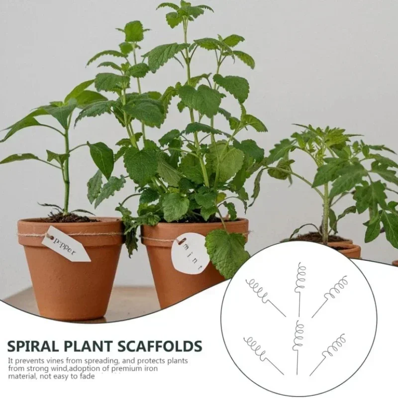Bonsai Garden Usa - つる性植物サポートステークスタンド、つる性植物ラック、トマトスパイラルステーク、耐久性のある盆栽用金属スパイラルトマトステーク、ガーデン用