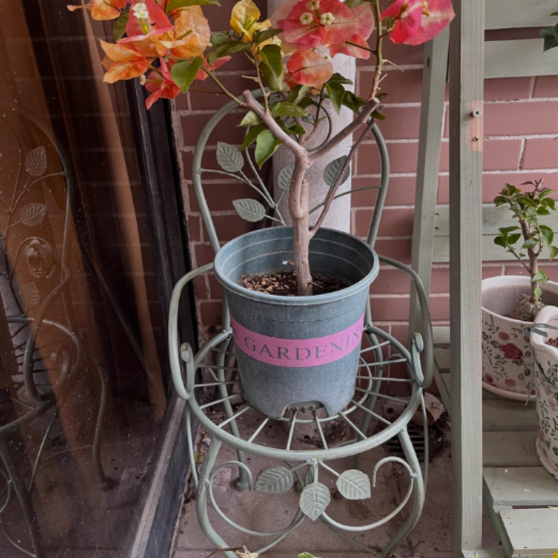 Bonsai Vertical Garden - 鉄製ローズフラワースタンドスツール垂直植物ラック、つる性植物用、庭、バルコニー、盆栽ディスプレイラック、素朴な装飾棚