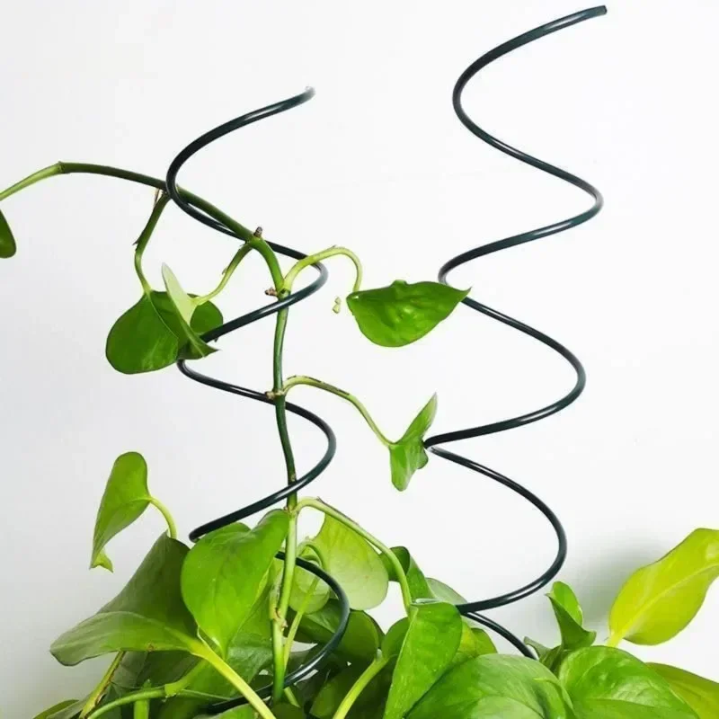 つる性植物サポートステークスタンド、つる性植物ラック、トマト - Bonsai Garden Usa のレビューと価格
