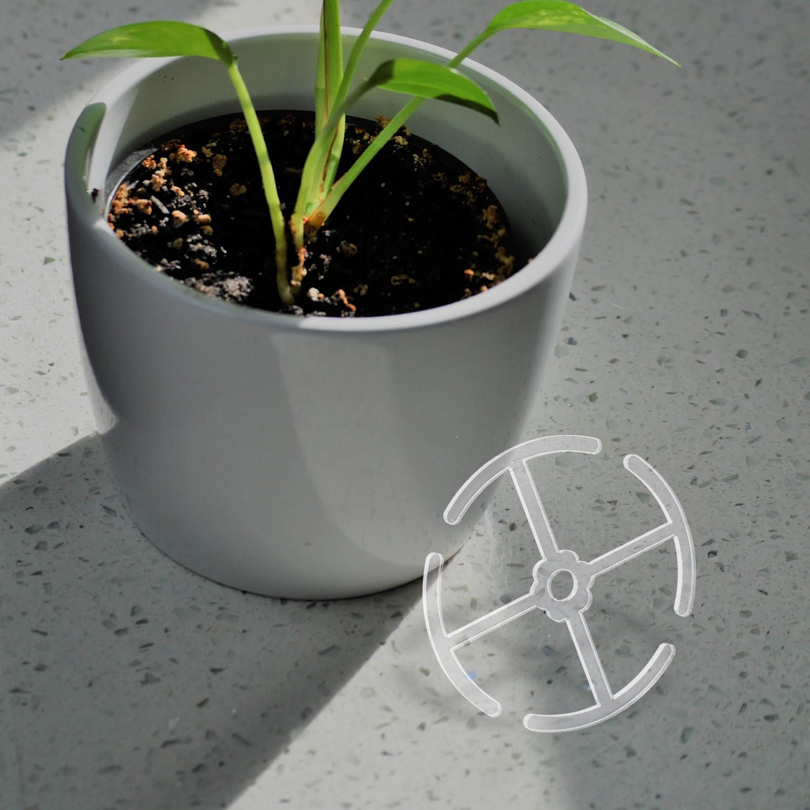 4 個のアクリル製茎サポートホルダー屋内植物用盆栽花茎植木鉢 - Bonsai Vertical Garden のレビューと価格
