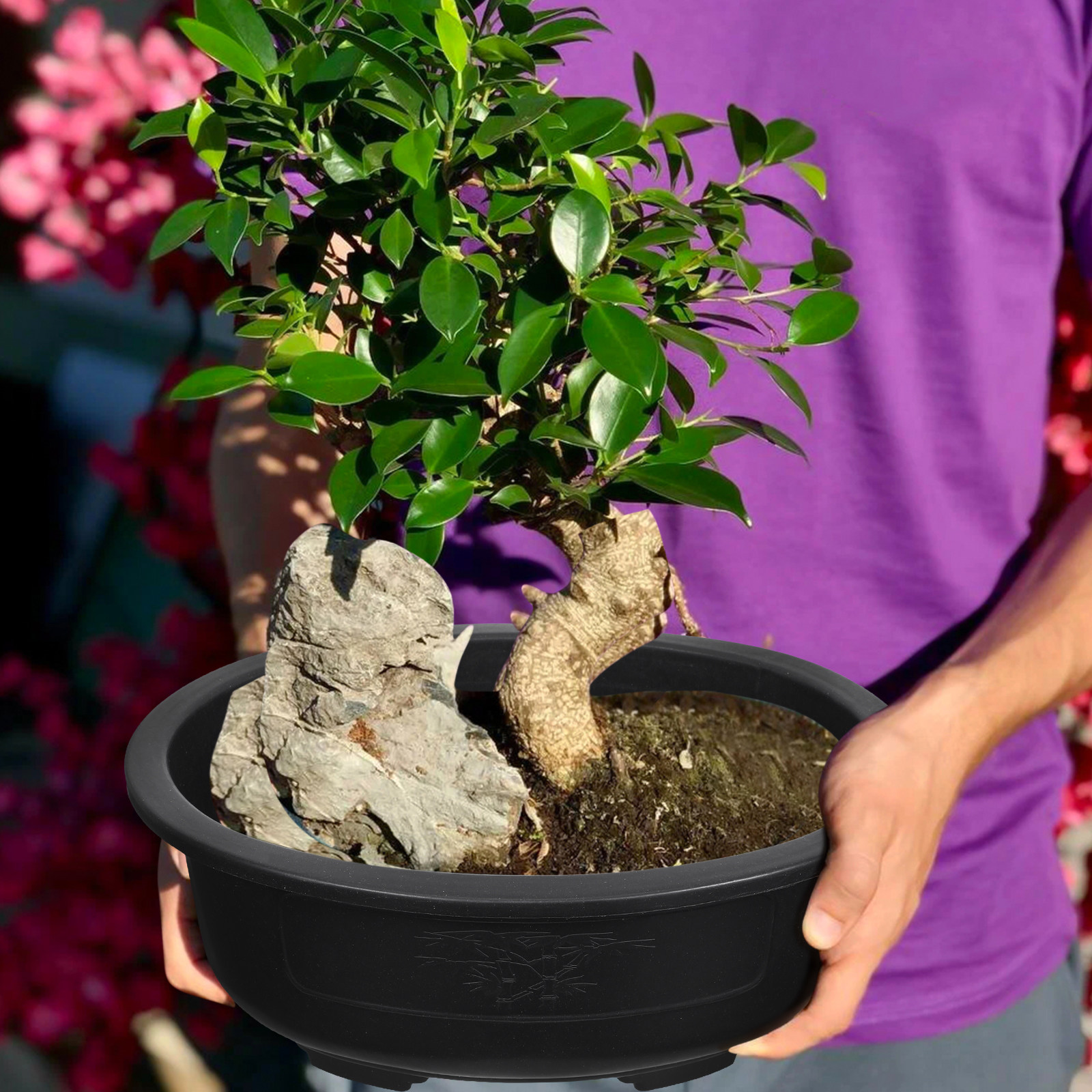 2 個大型楕円形プラスチック盆栽プランターポットフラワーコン - Bonsai Vertical Garden のレビューと価格