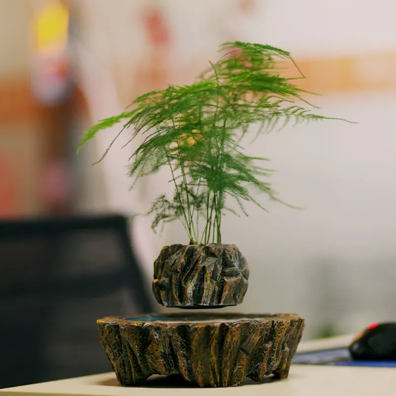 HCNT電磁浮遊樹脂盆栽垂直高床式庭園家庭屋外装飾育苗ポット - Bonsai Vertical Garden のレビューと価格