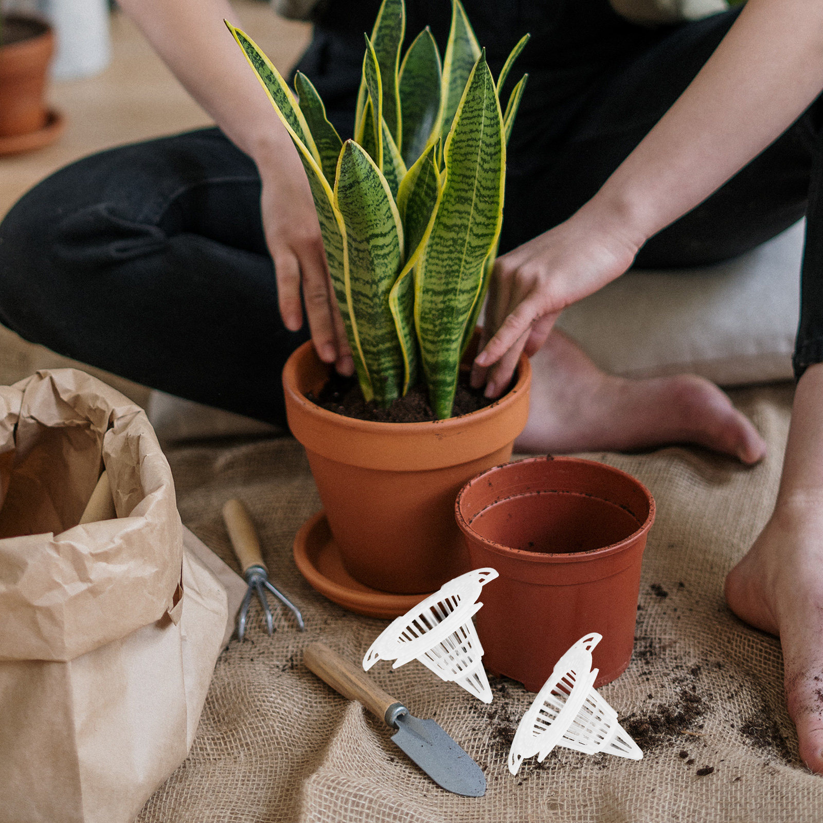 20 個植木鉢通気性コーンメッシュパッドプラスチックプランタ - Bonsai Garden Usa のレビューと価格