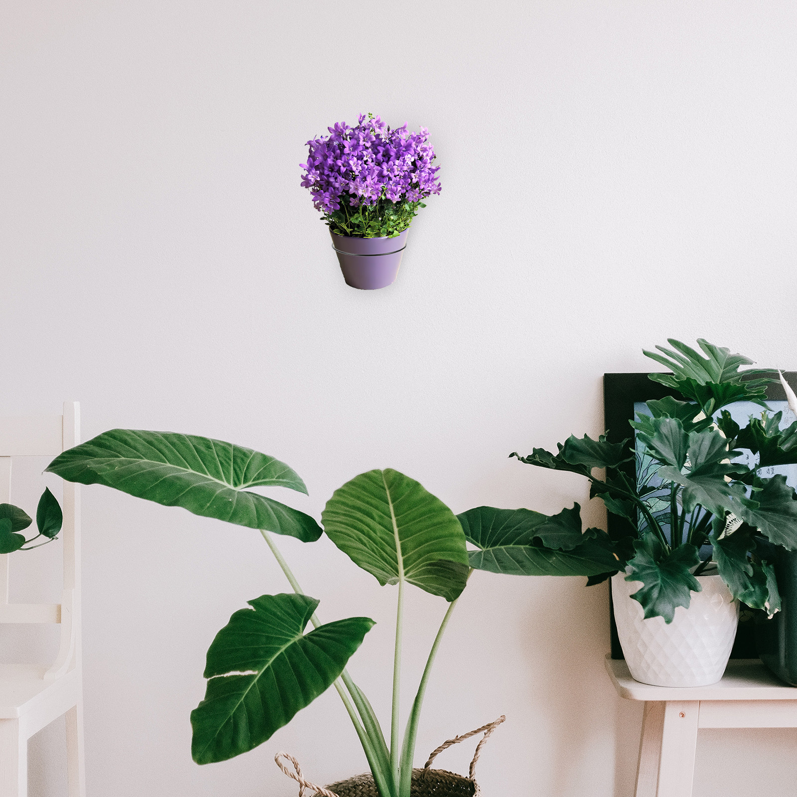 吊り下げ式植木鉢ラック 壁掛け式鉄製植木鉢ブラケット 植物  - Bonsai Vertical Garden のレビューと価格