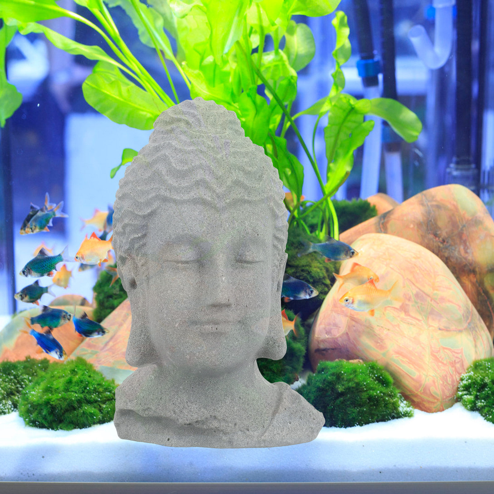 瞑想する仏像の置物、水槽や水槽の装飾、盆栽、デスクトップ、家 - Bonsai Garden Usa のレビューと価格