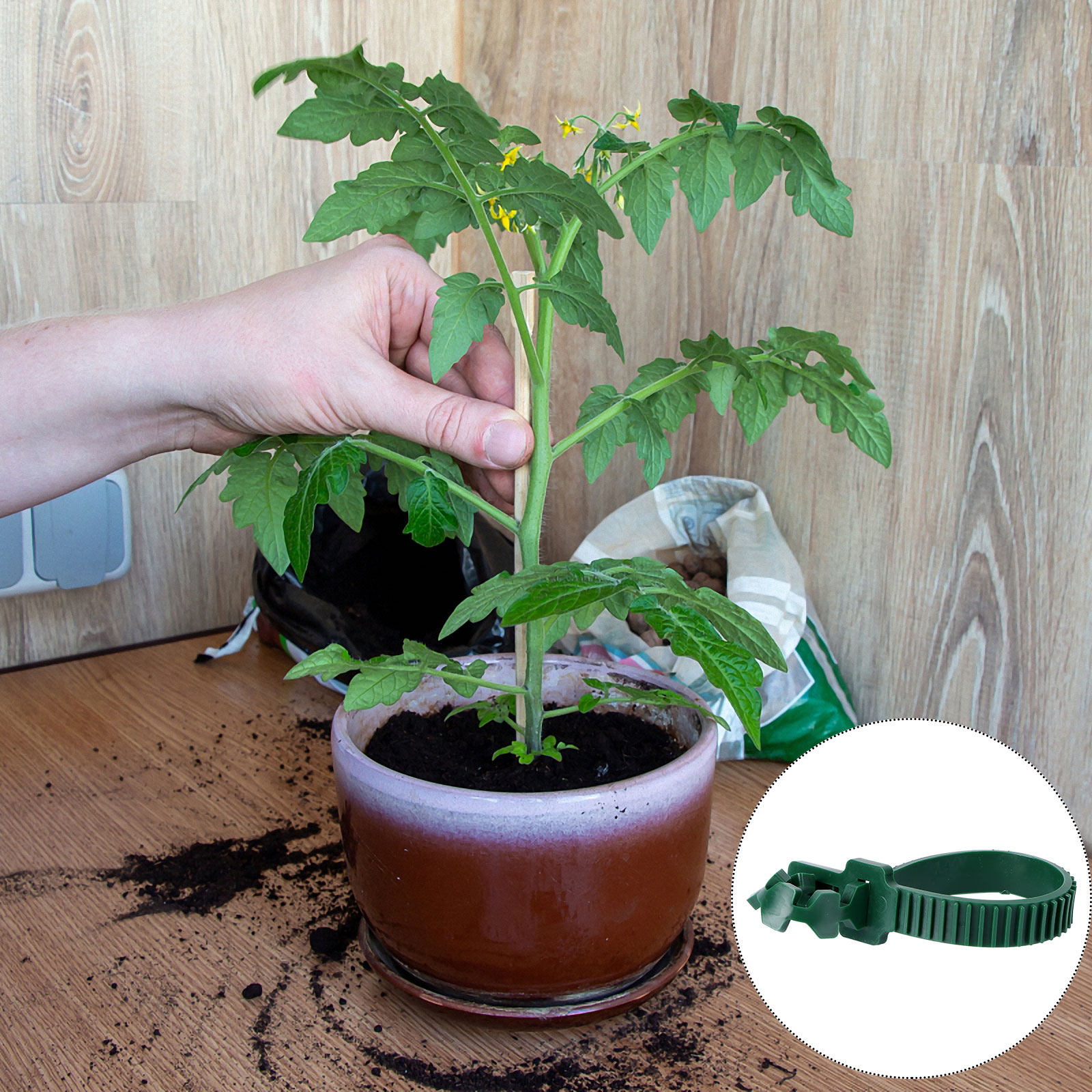 20個入り 蔓固定バックル 植物サポートクリップ 庭園用 盆 - Bonsai Garden Usa のレビューと価格