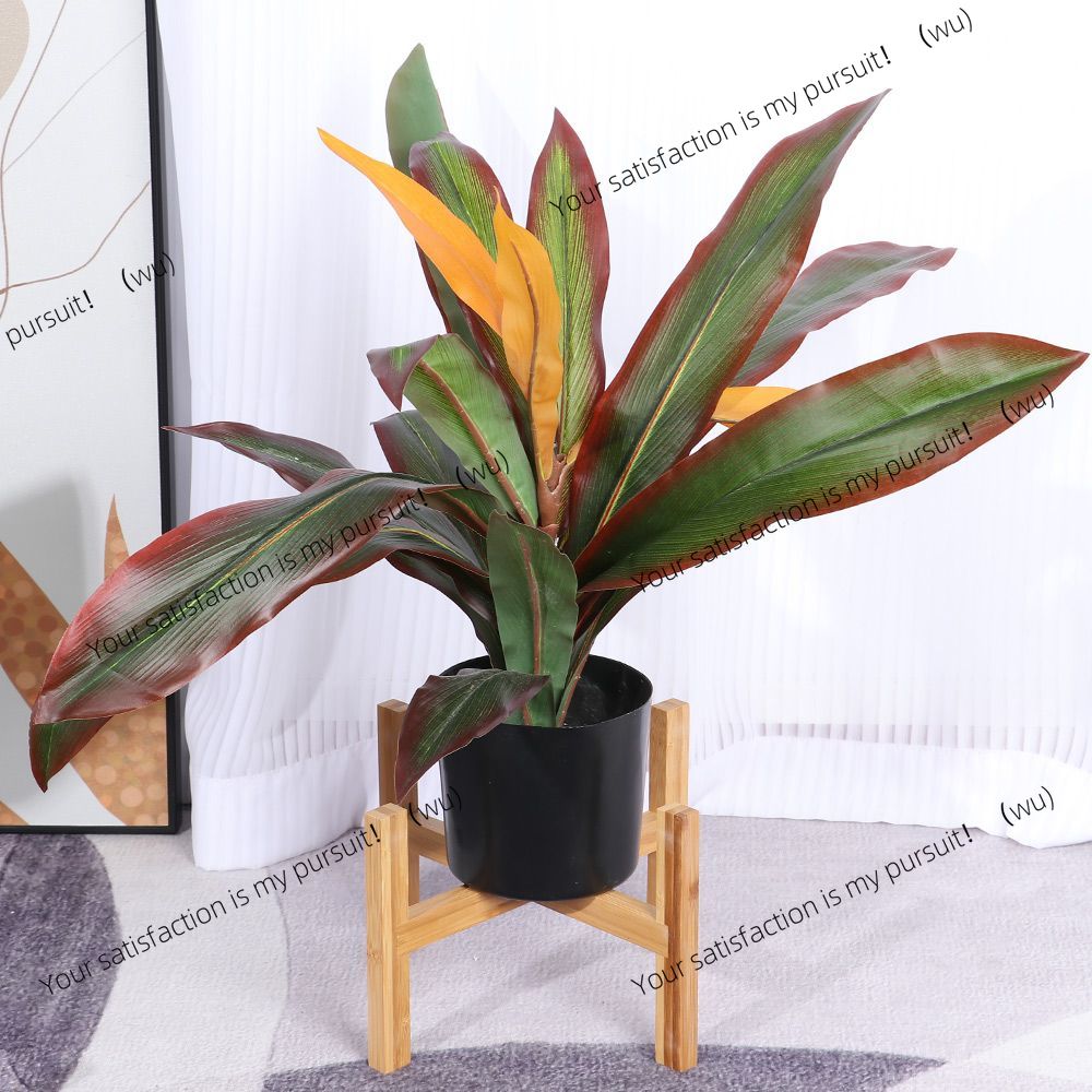 木製の縦型盆栽ディスプレイスタンド、植木鉢の台座、屋内外の家 - Bonsai Vertical Garden のレビューと価格