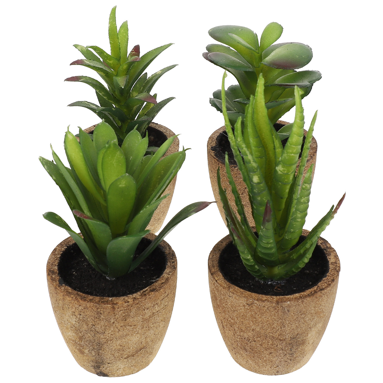 4個入り シミュレーション多肉植物 人工ミニ鉢植え ホームオ - Bonsai Garden And Cafe のレビューと価格