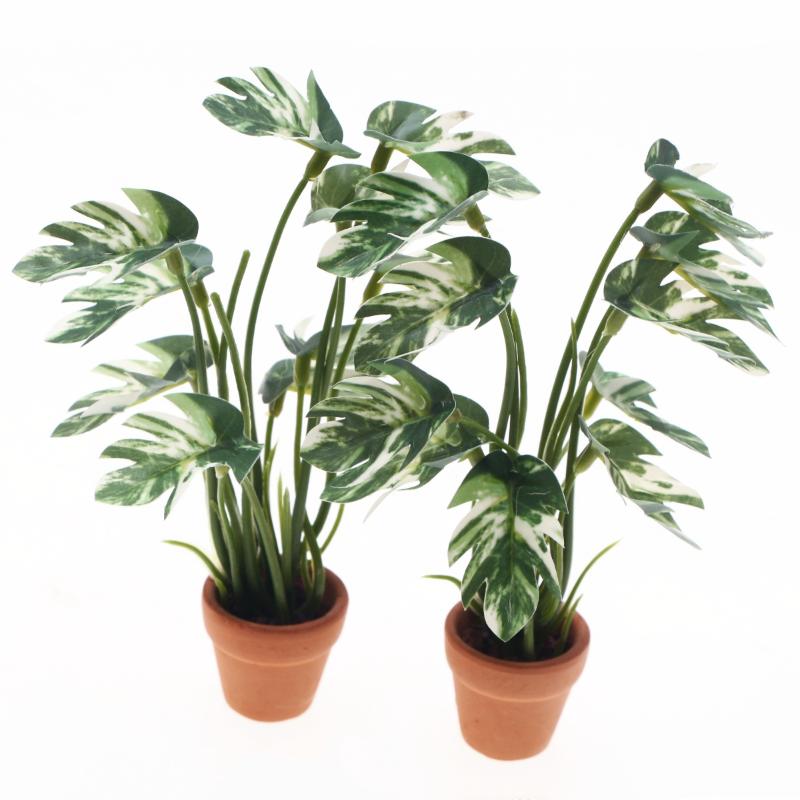 新品。1個入り 1/12 ドールハウス シミュレーション モ - Bonsai Garden Usa のレビューと価格