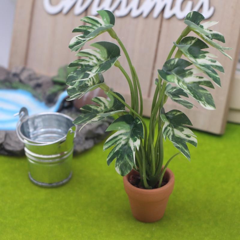 新品。1個入り 1/12 ドールハウス シミュレーション モ - Bonsai Garden Usa のレビューと価格