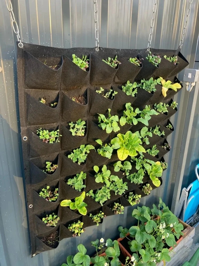 壁掛けプランティングバッグ 複数のポケット付き グロウバッグ - Bonsai Vertical Garden のレビューと価格