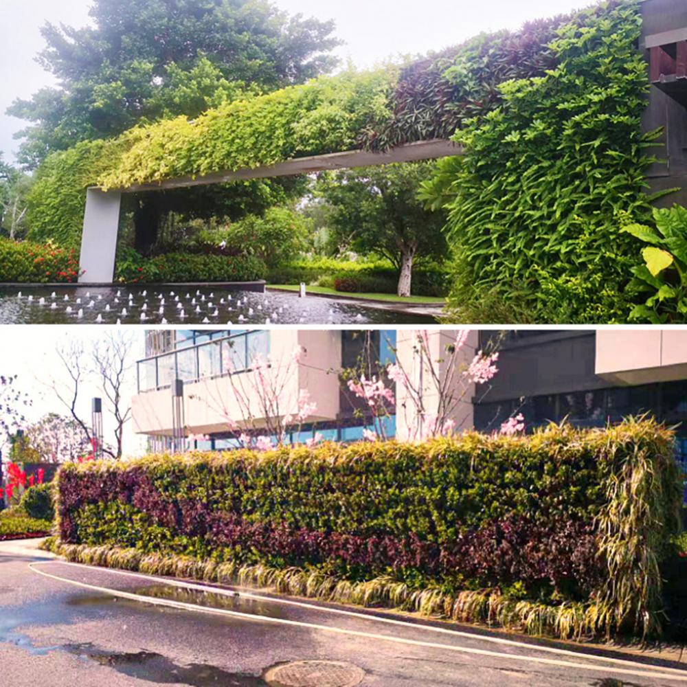 壁掛けフォレストボックス多穴花植木鉢コンテナ垂直 3D グリ - Bonsai Vertical Garden のレビューと価格